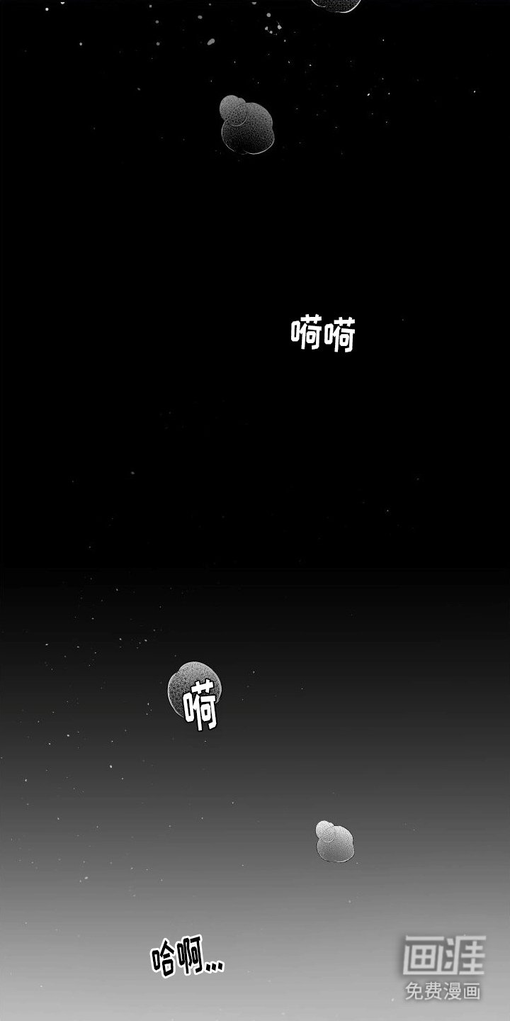 第15章：伤疤