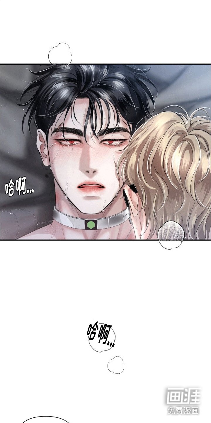 第16章：唯一的搭档