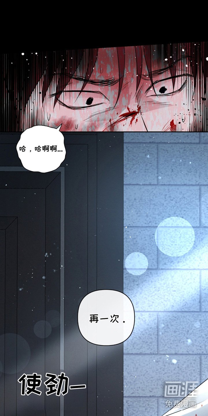 第28章：【第二季】弱肉强食