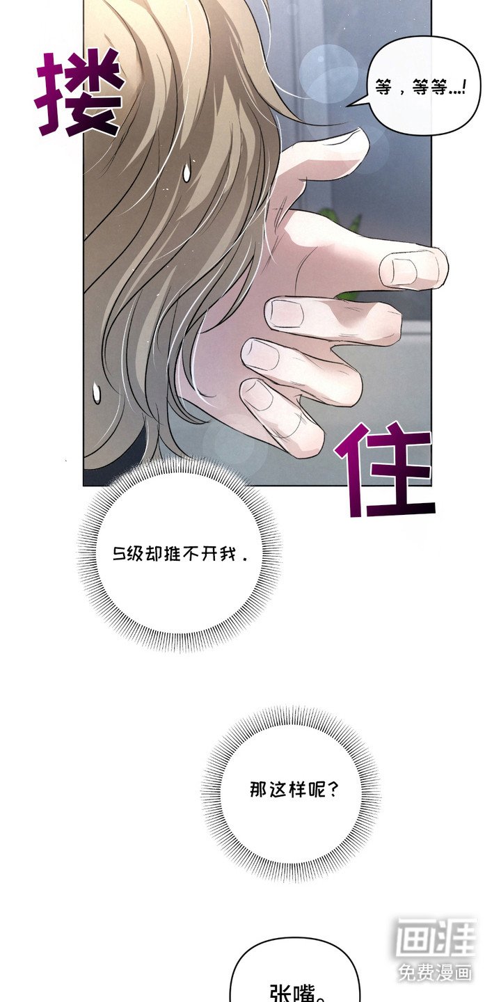 第31章：【第二季】成功了