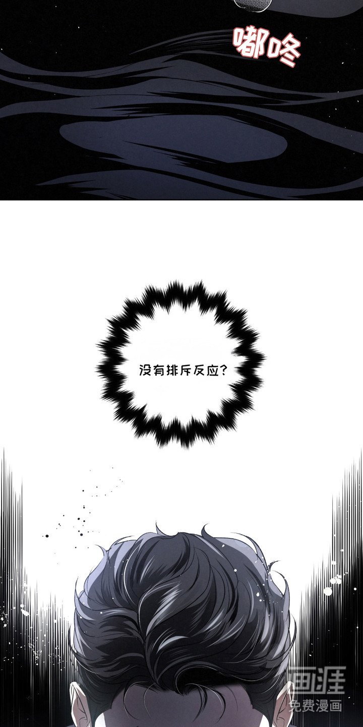 第31章：【第二季】成功了