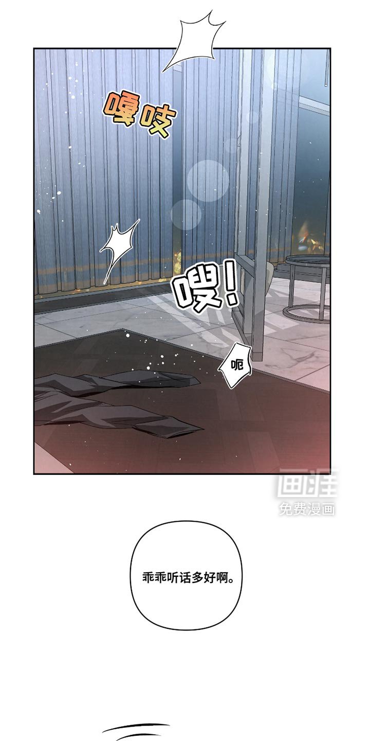 第36章：【第二季】确实有点奇怪