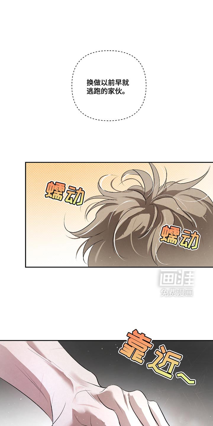 第36章：【第二季】确实有点奇怪