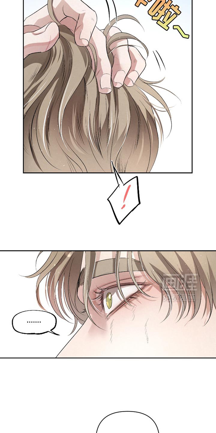 第36章：【第二季】确实有点奇怪