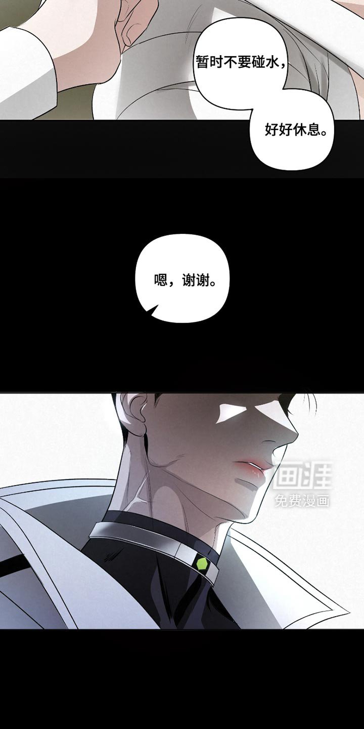 第44章：【第二季】生吞活剥