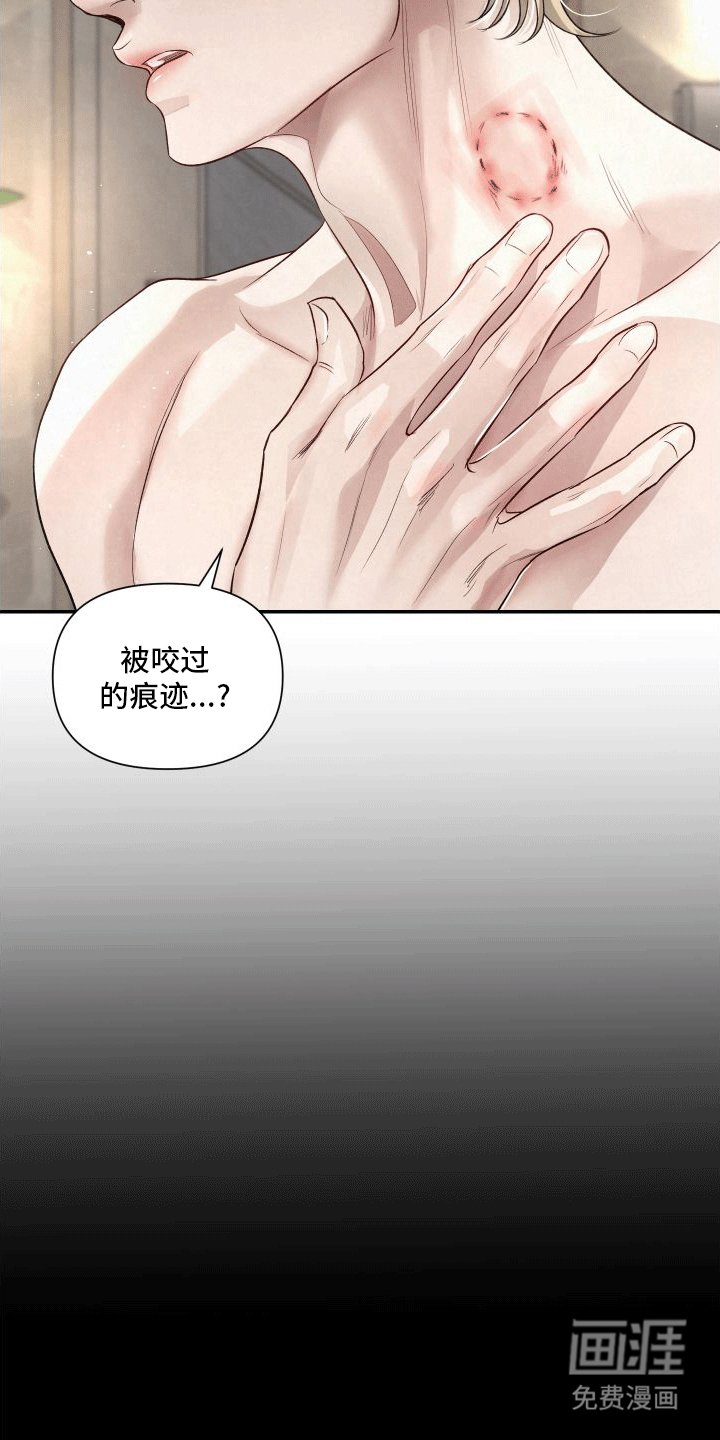 第5章：向导的相关知识