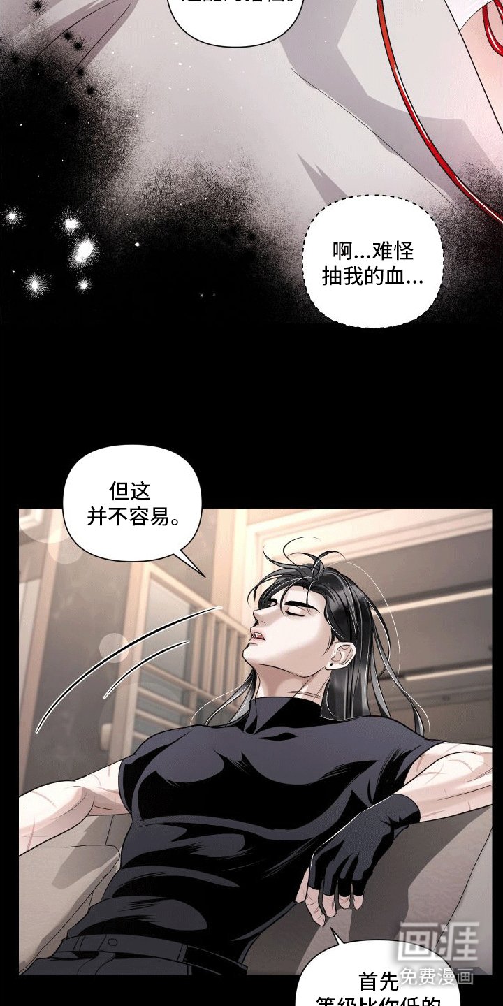 第5章：向导的相关知识