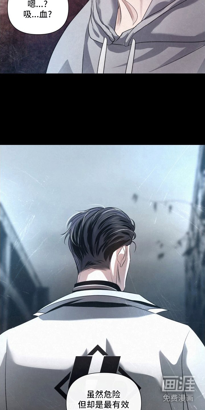第5章：向导的相关知识