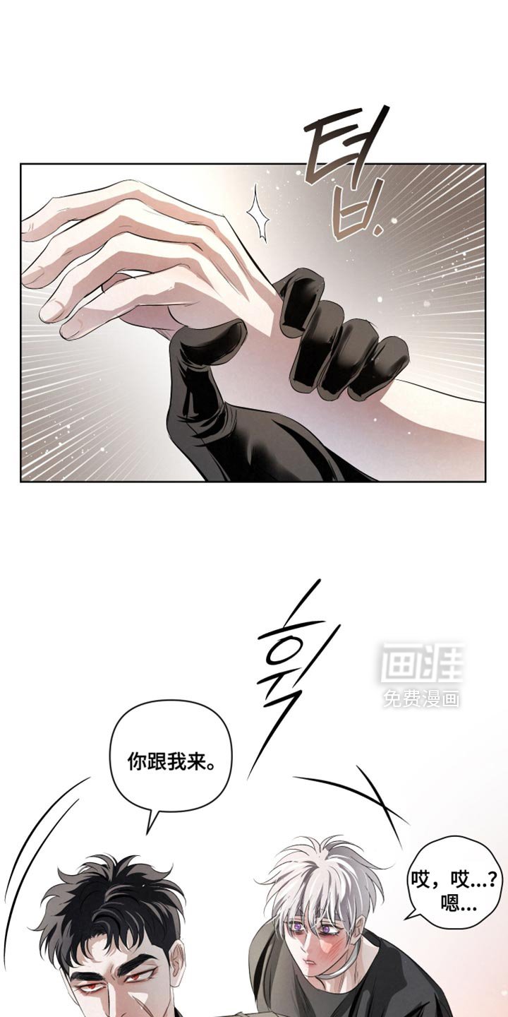 第77章：【第二季】真正的传导