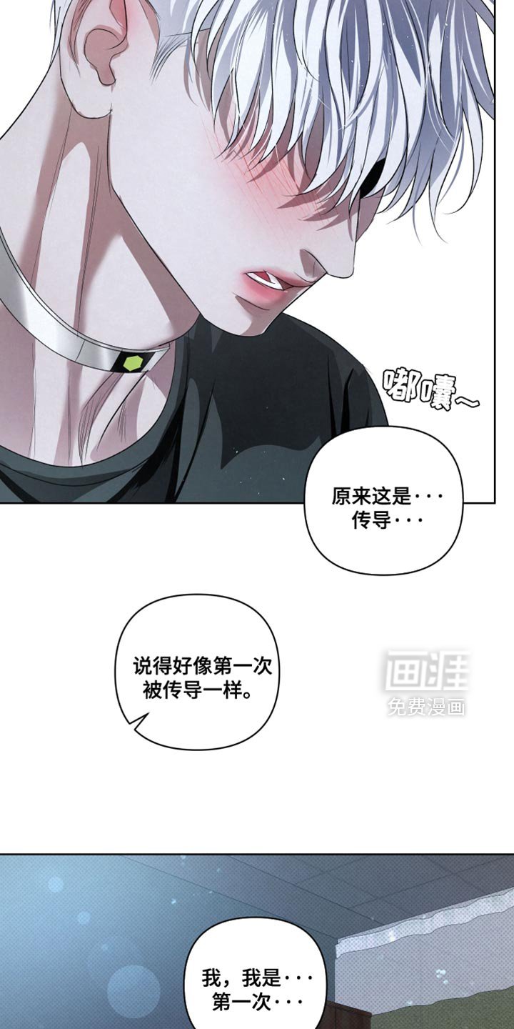 第77章：【第二季】真正的传导