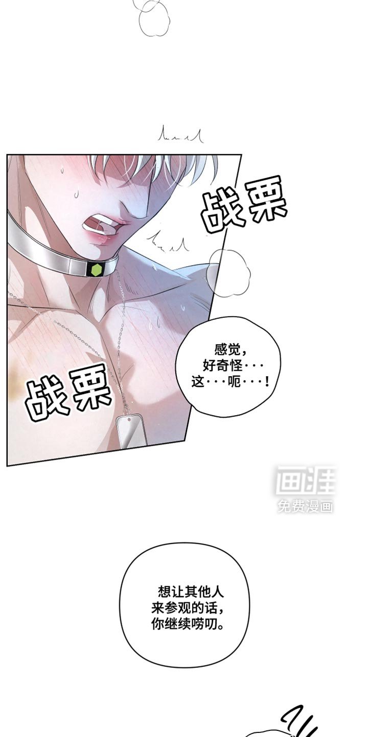 第78章：【第二季】做搭档