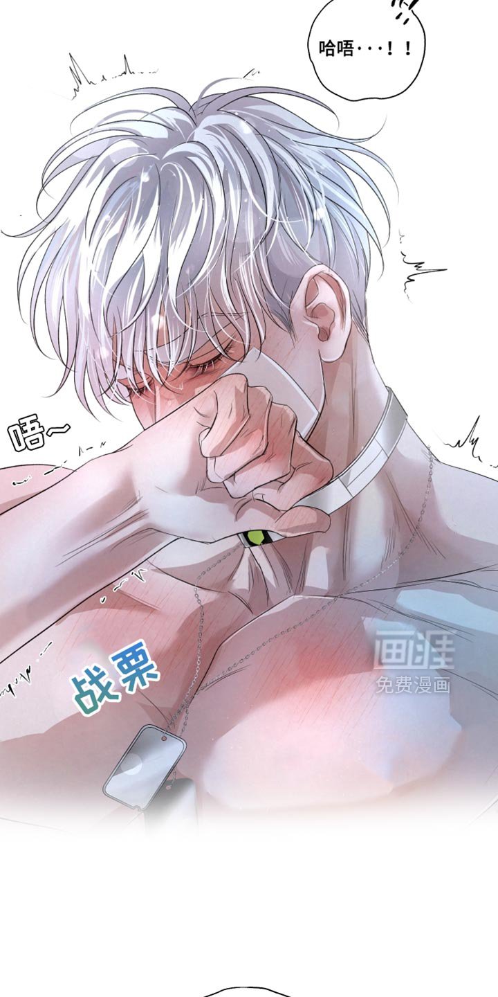第78章：【第二季】做搭档