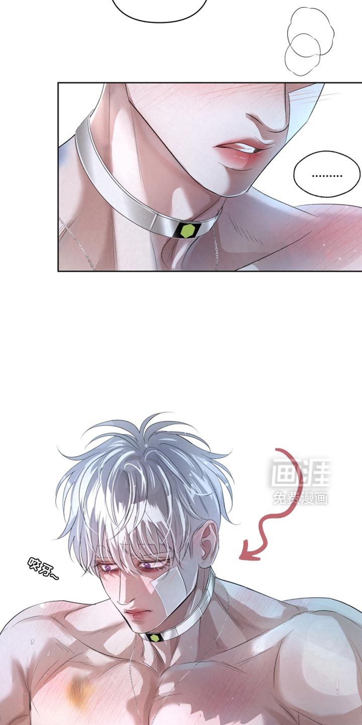 第78章：【第二季】做搭档