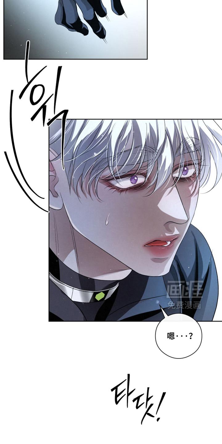 第79章：【第二季】看来不是听错了
