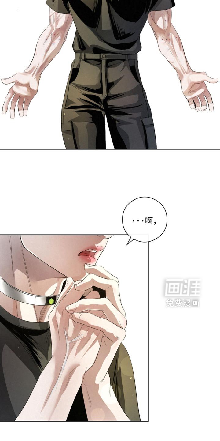 第81章：【第二季】杀了他们