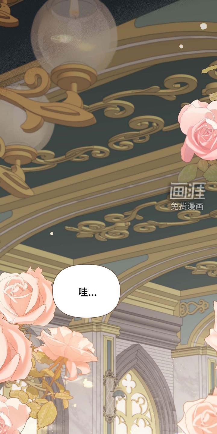 第15章：饼干