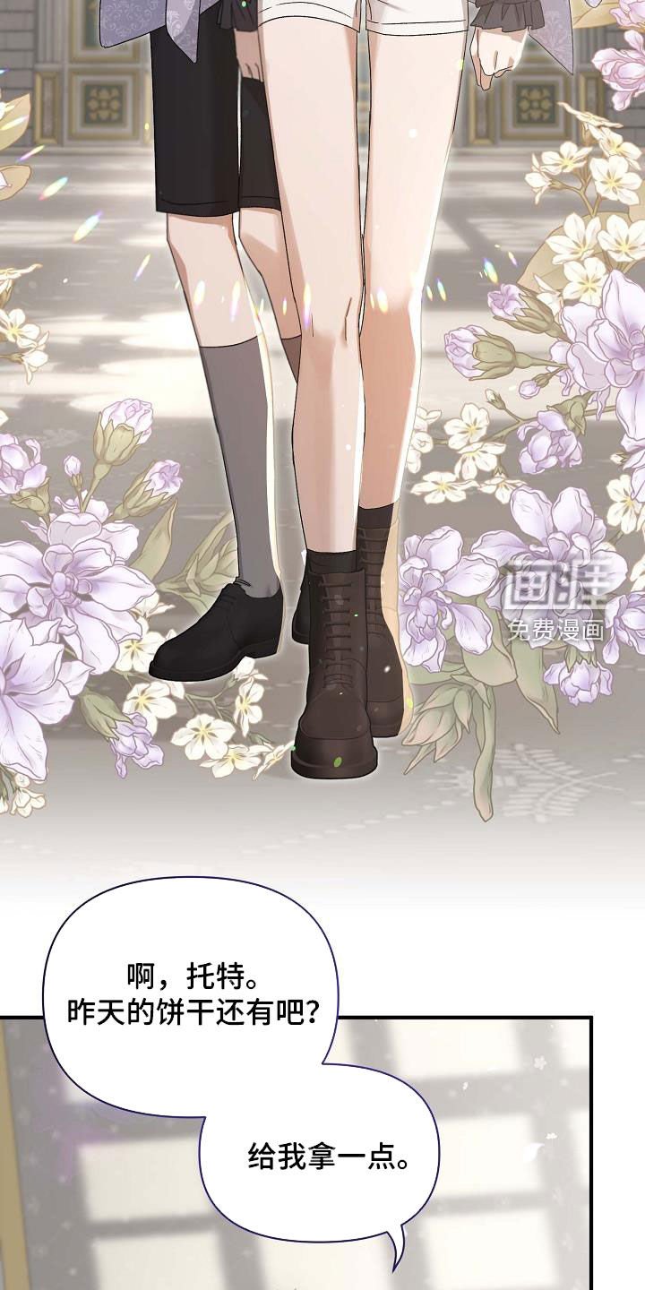第15章：饼干