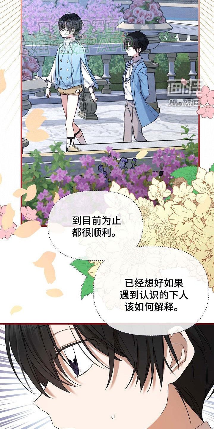 第19章：计划