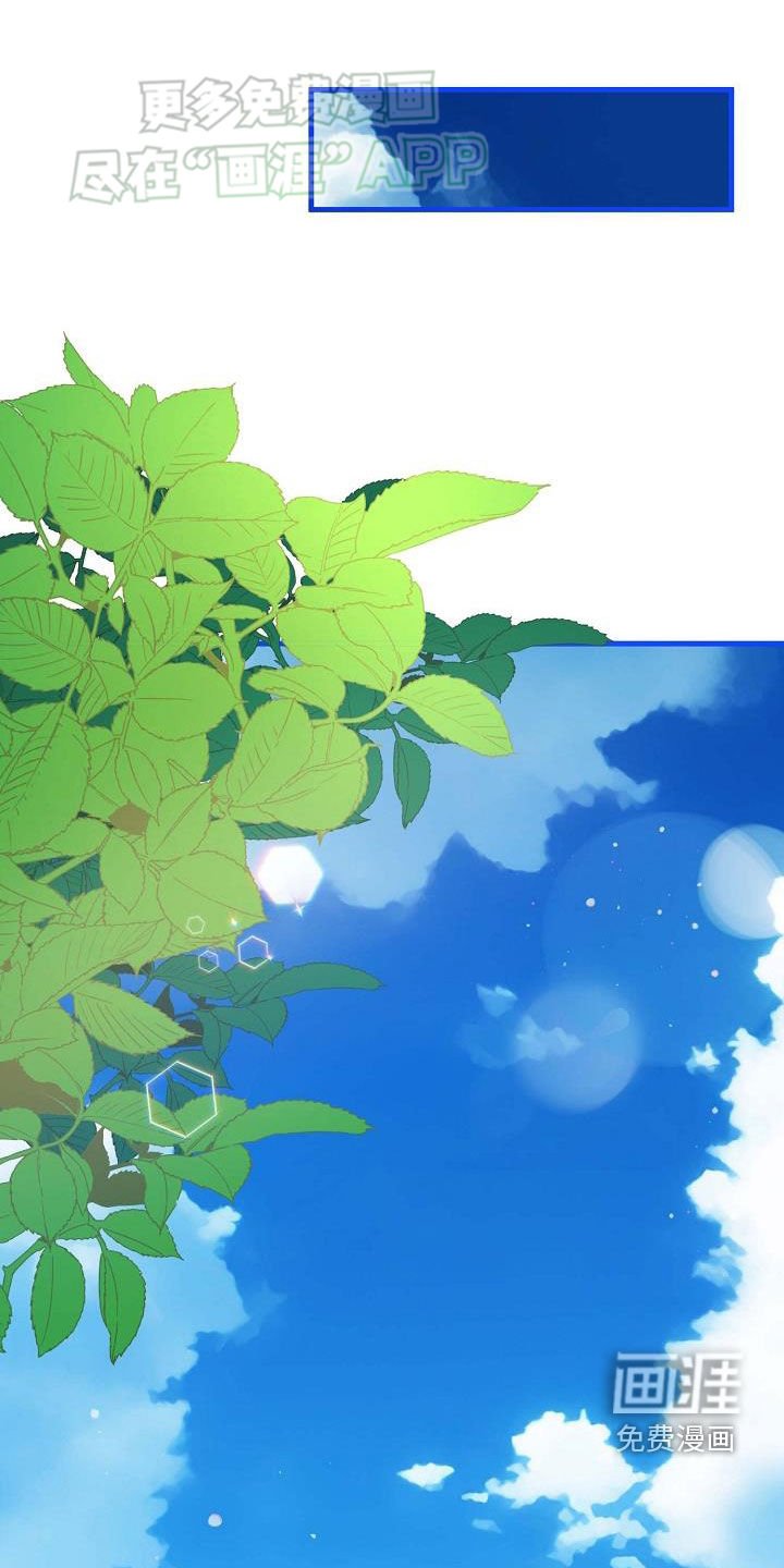 第26章：方案