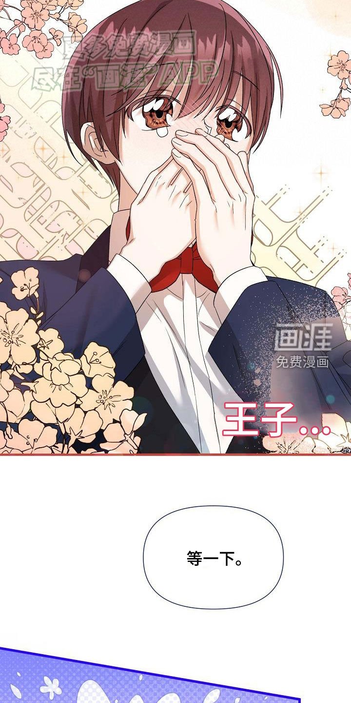 第26章：方案