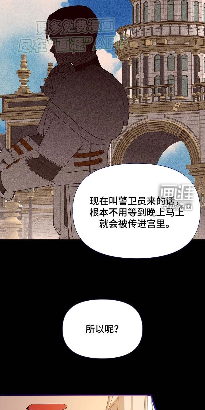 第26章：方案