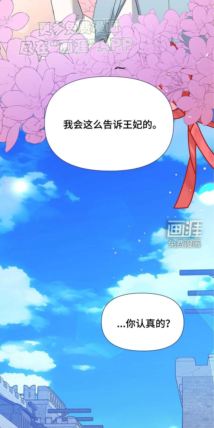 第26章：方案