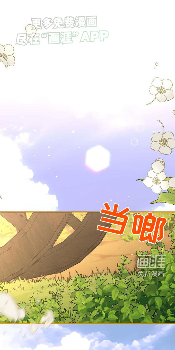 第27章：罗杰夫人