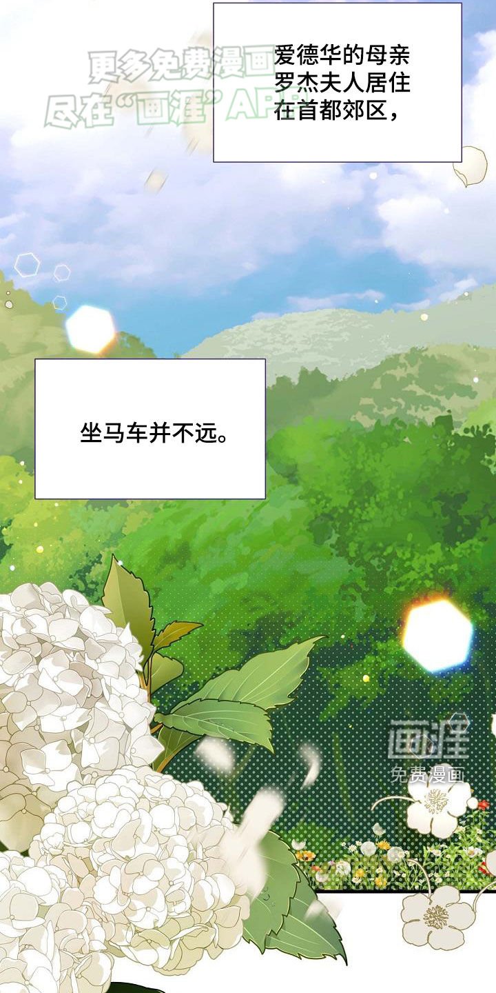 第27章：罗杰夫人