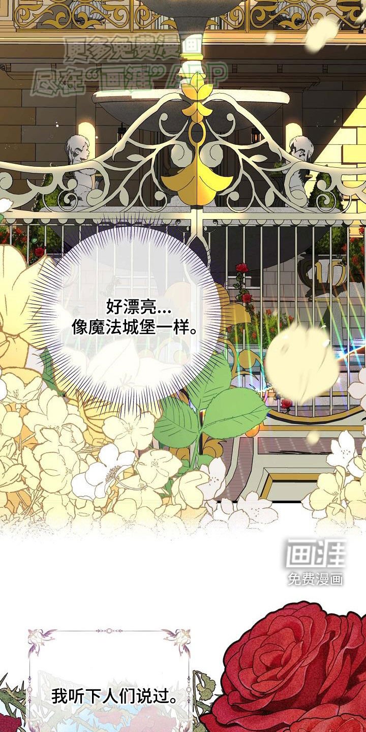 第27章：罗杰夫人