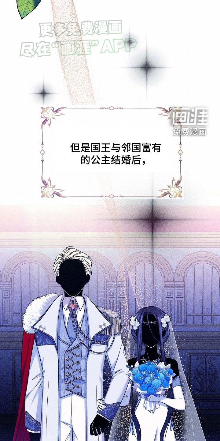 第27章：罗杰夫人