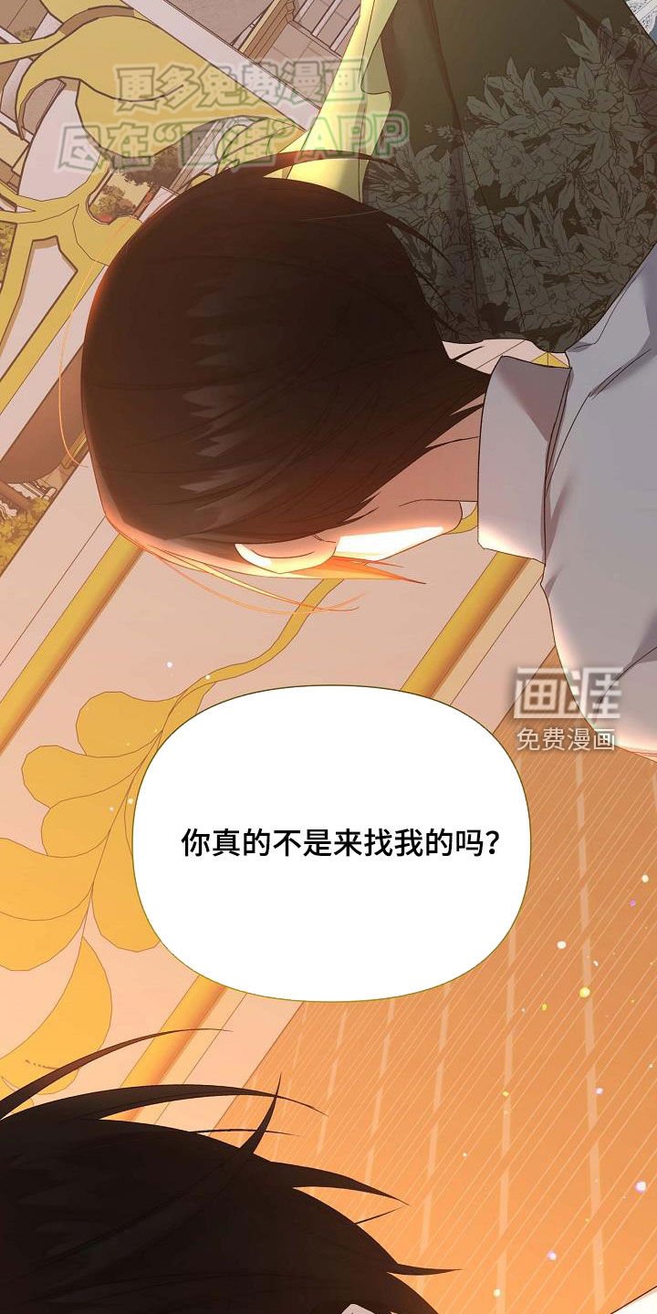 第28章：见面