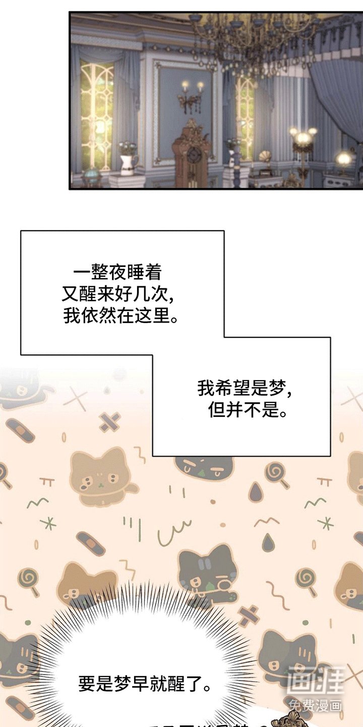 第3章：好大一盆狗血