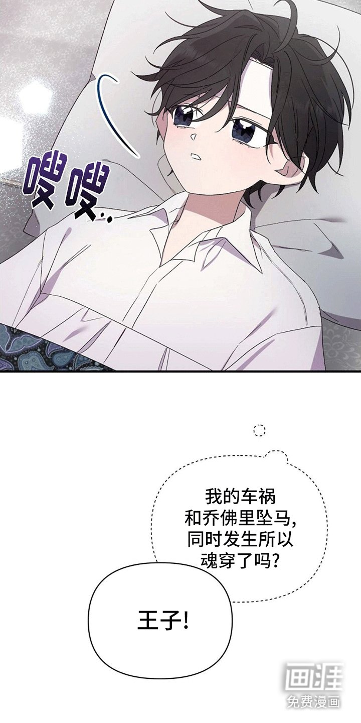第3章：好大一盆狗血
