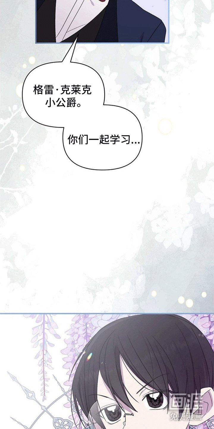 第3章：好大一盆狗血