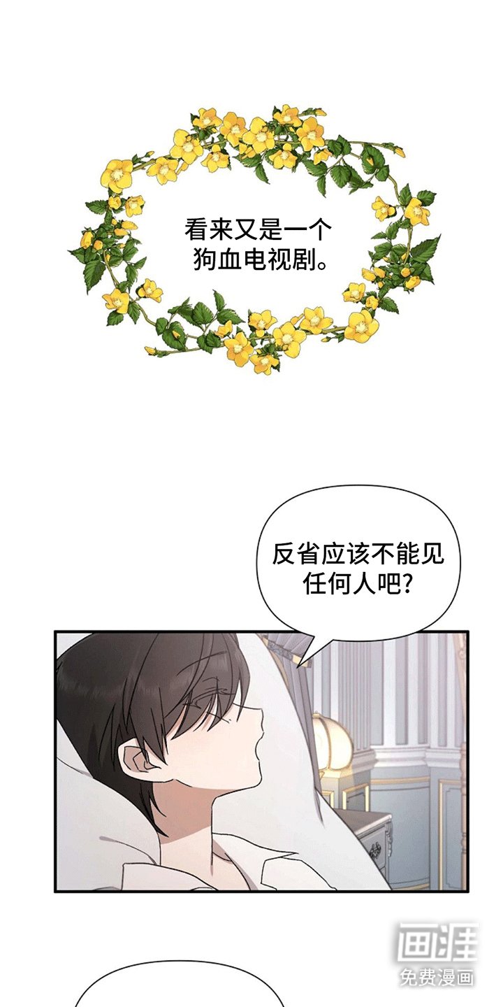 第3章：好大一盆狗血