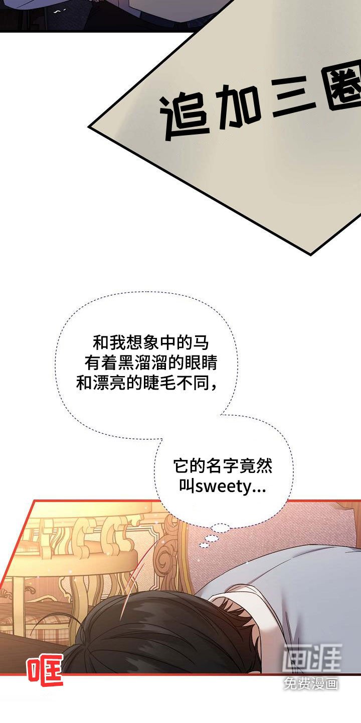 第32章：训练
