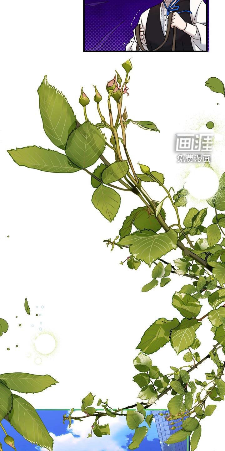 第34章：坠马