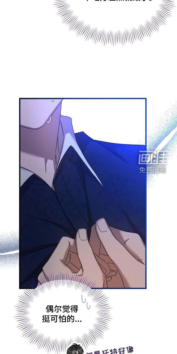 第46章：调查