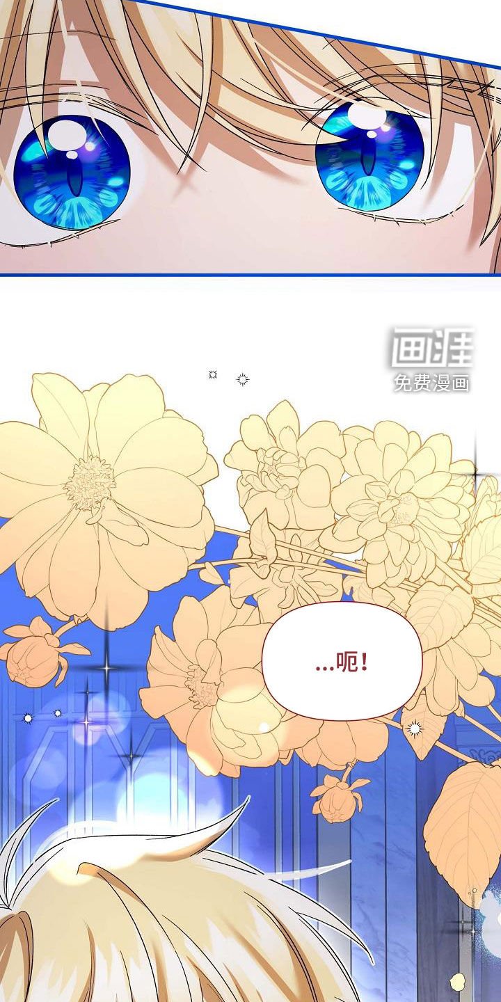 第50章：第一王子