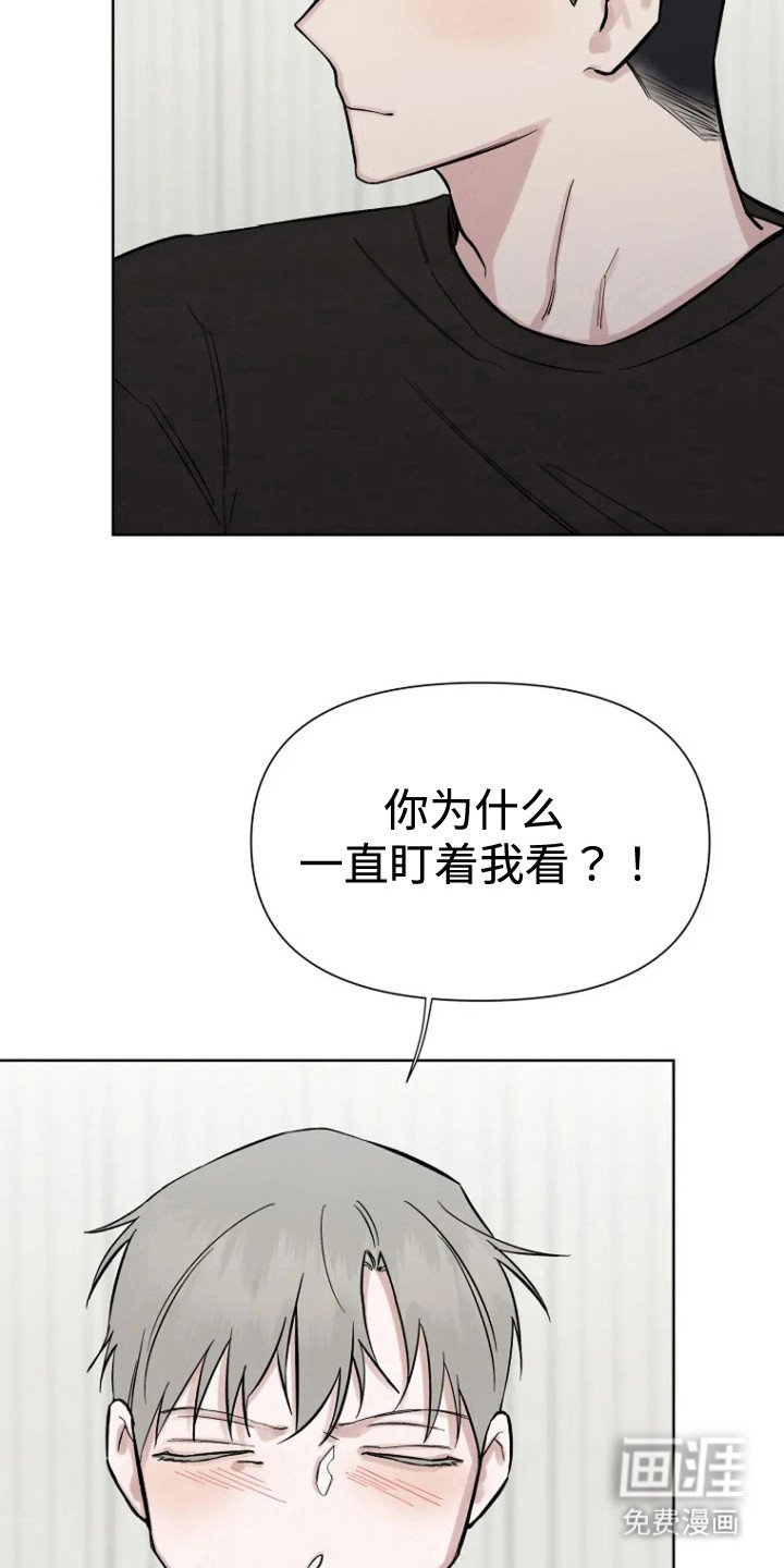 第79章：【第二季】好好生活