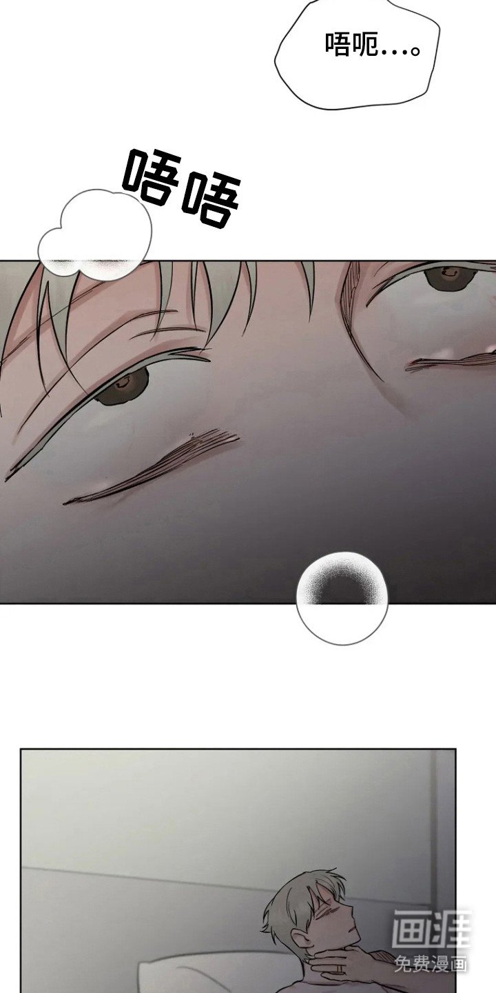 第84章：【第二季】毁掉记忆