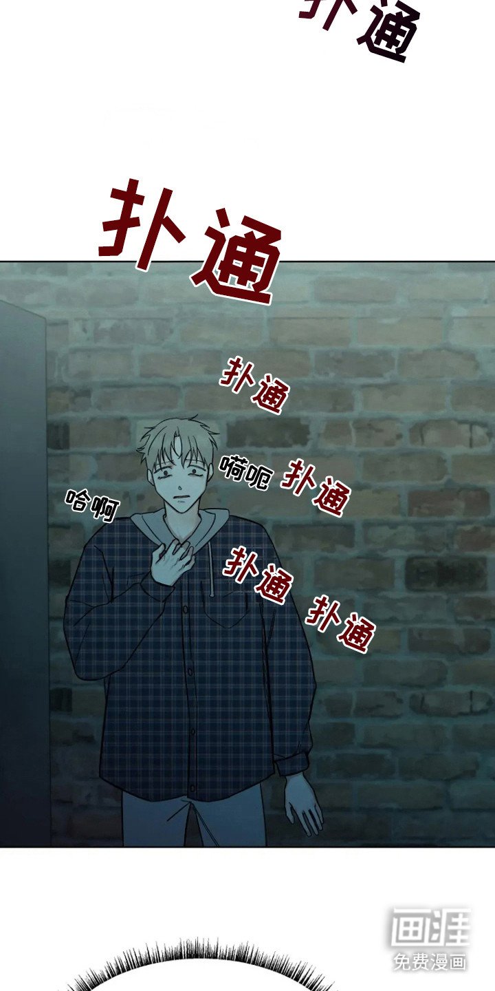 第85章：【第二季】结果
