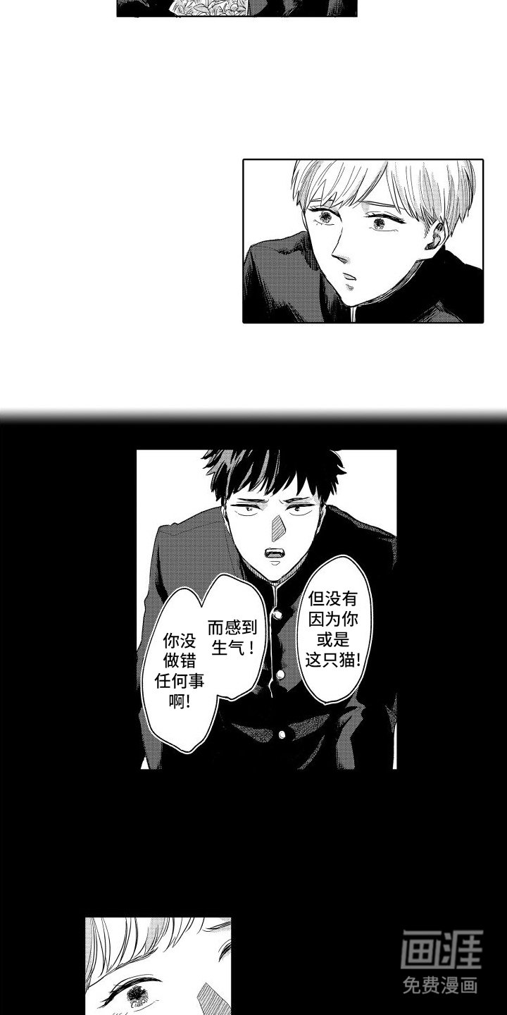 第18章：回忆