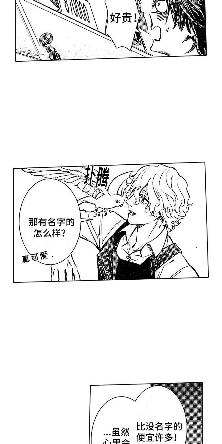 第2章：像神一样
