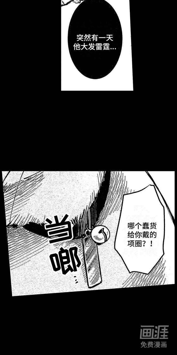 第22章：来不及