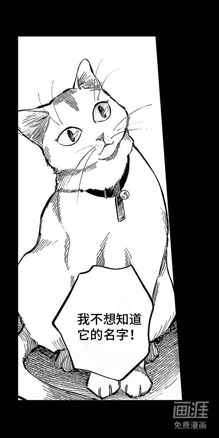 第22章：来不及