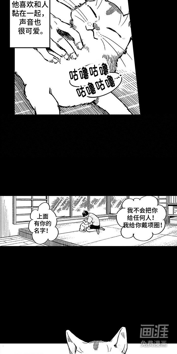 第8章：意外