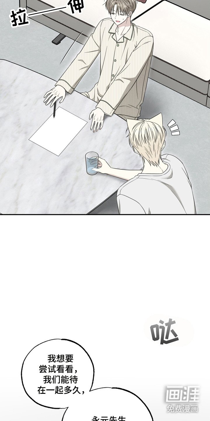 第14章：试试看