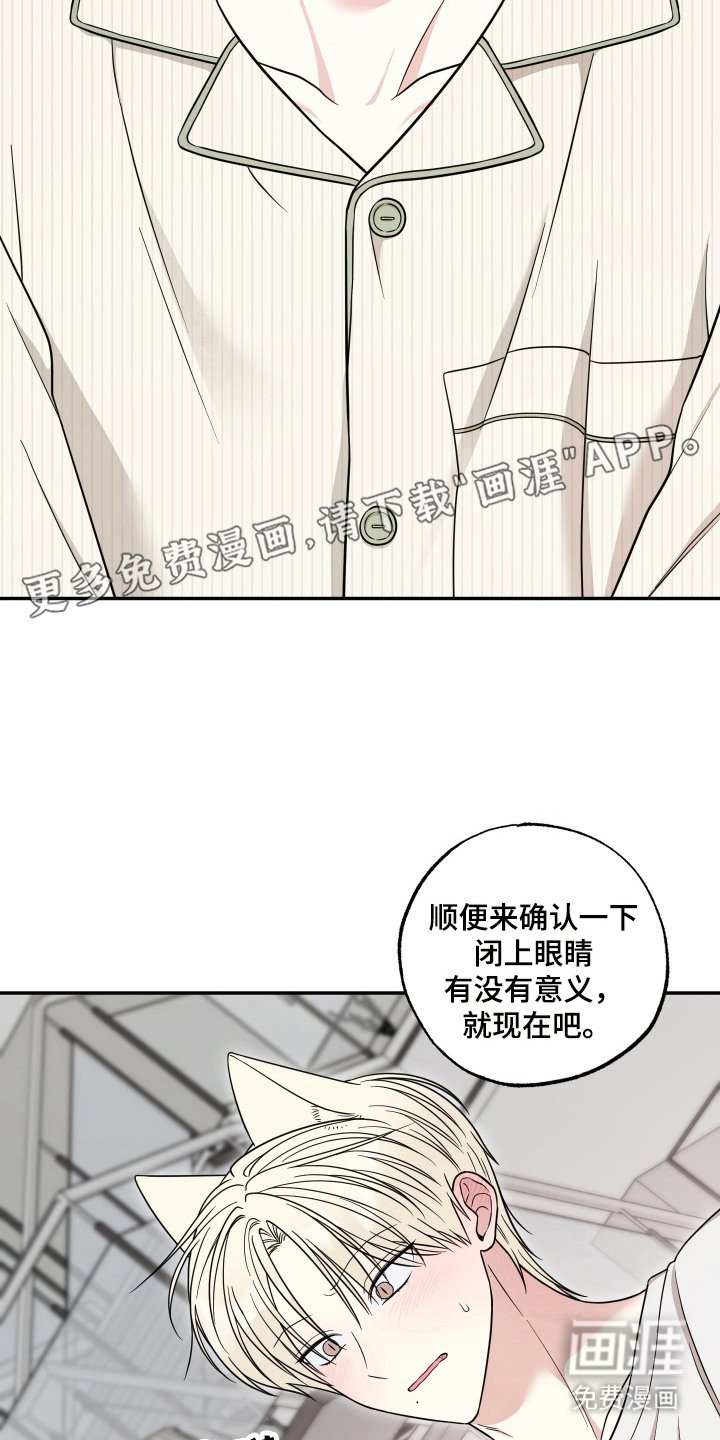 第14章：试试看