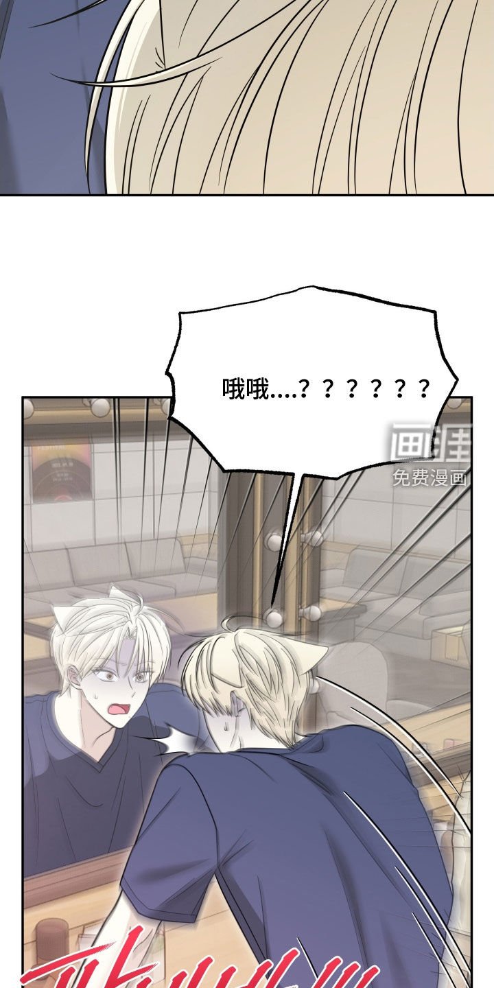 第17章：收不回去了